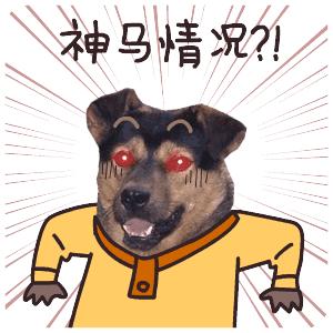 网购家电可靠吗,网购家电的质量问题有哪些