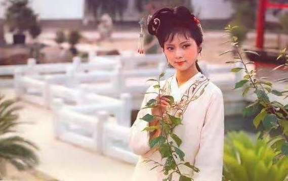 邹晓丽老师:曹雪芹的语言观(三)