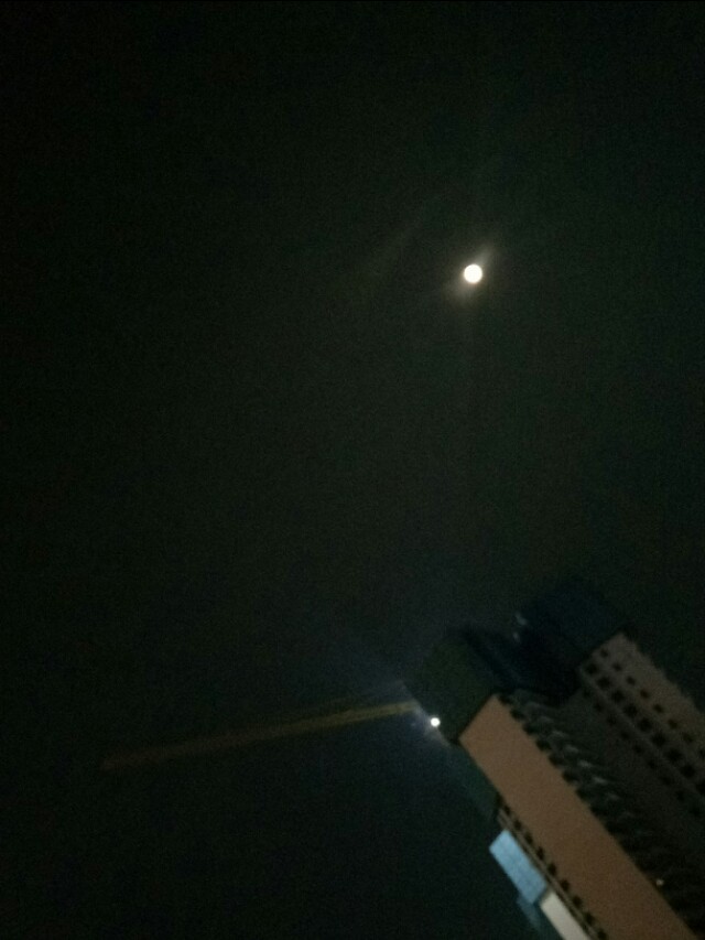 智者乐山仁者爱水如诗,智者乐山仁者爱水视频