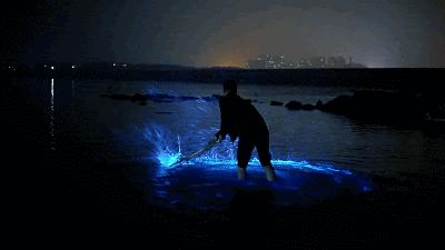 浙江景点花鸟岛,浙江风景花鸟岛