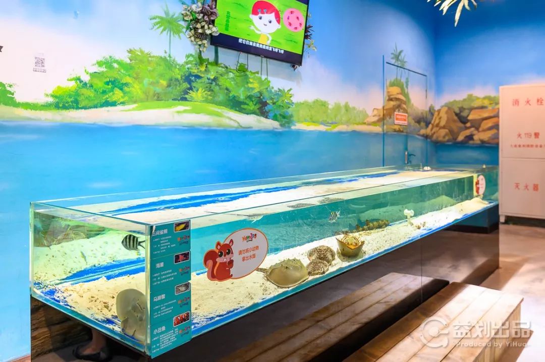 大连么么哒动物园 (大连小众动物园)