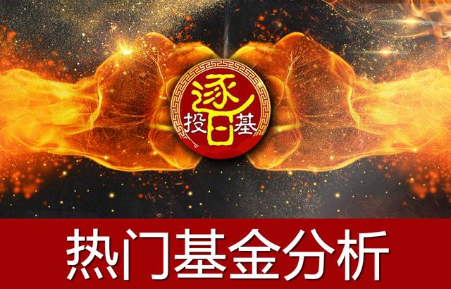 金牛奖指数基金,高收益红利两倍做多业绩大全
