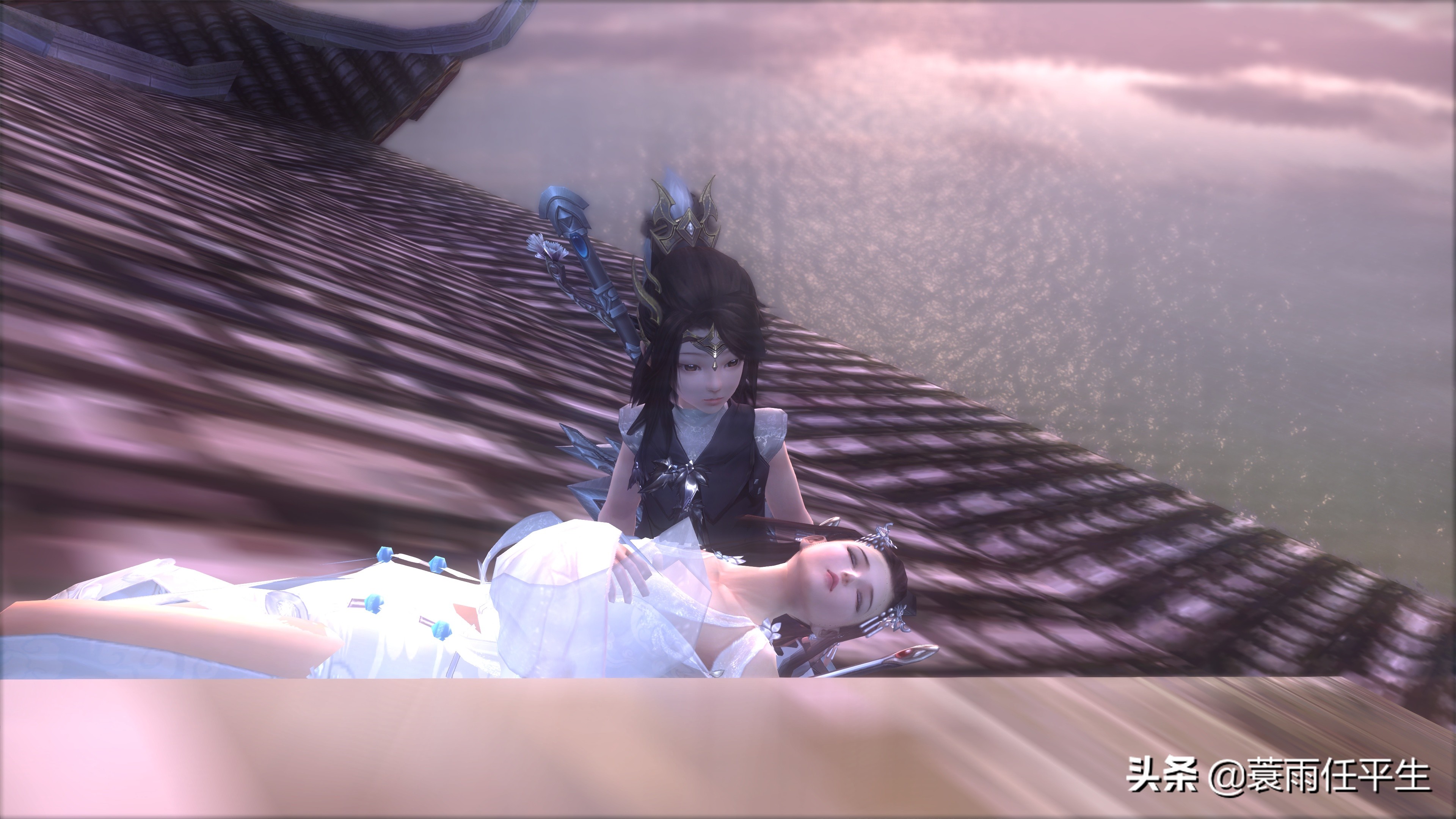 剑网三萌新pvp每天怎么玩,剑网三萌新视频