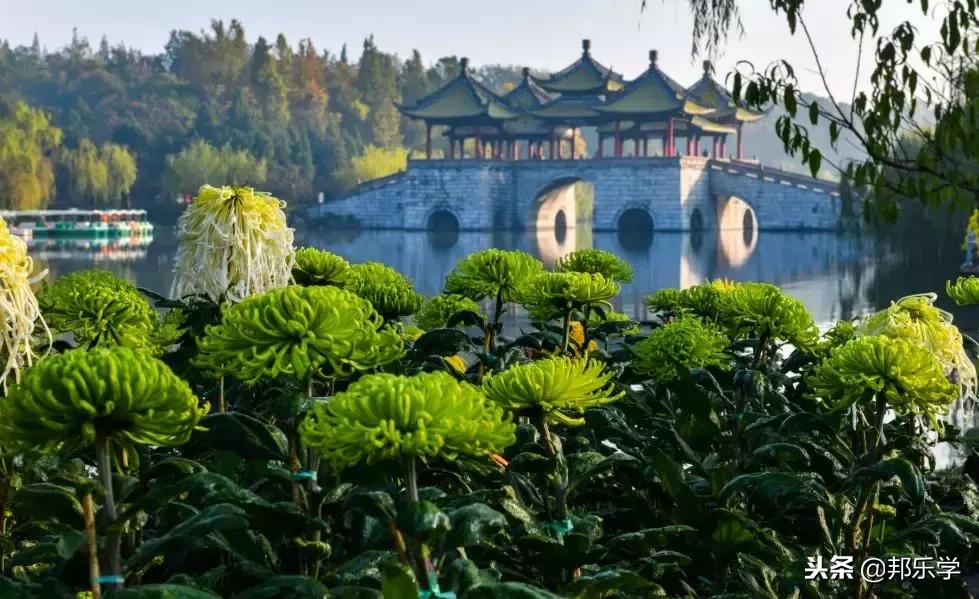 扬州市公园人气榜第一名,扬州入选全球十大宜居城市