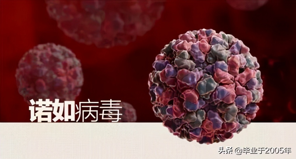 吃鱼虾的危害有哪些,吃鱼重金属超标对身体有什么伤害