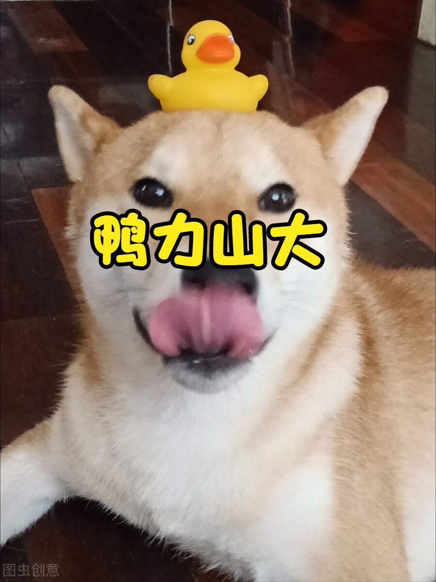 考广告学有必要吗,学广告学专业烧不烧钱