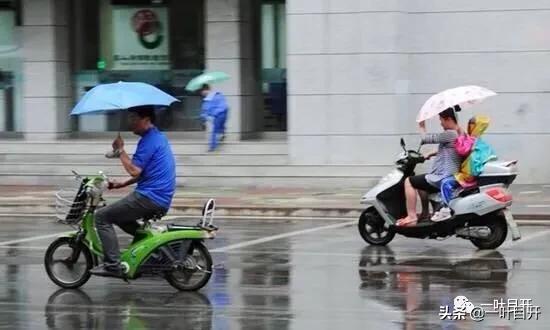 过来人小学学习建议,上海幼升小纠结