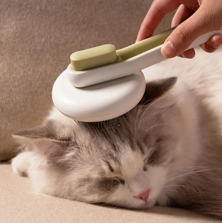 猫咪必备10大神器,猫咪必备神器排行