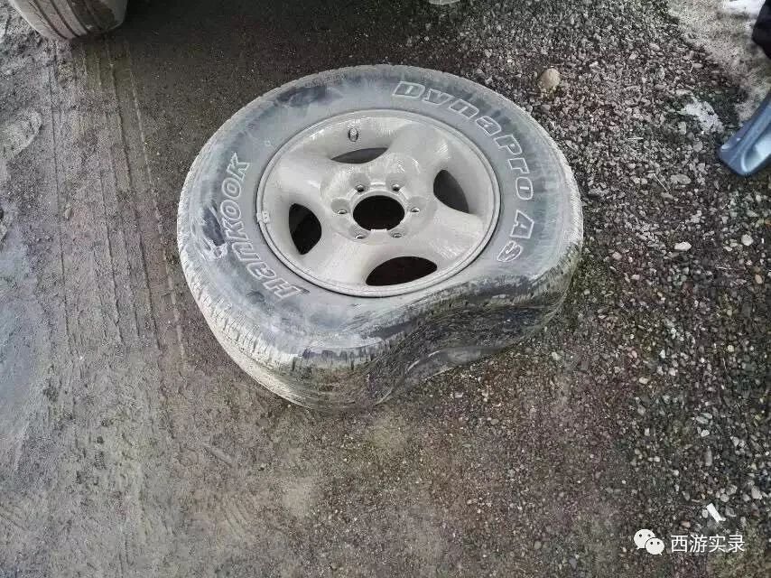 第一次坐警车去上班,第一次坐交警警车视频