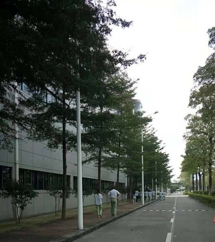 去年还是国产机第二梯队品牌领导者，如今却只能靠代工手机壳求生