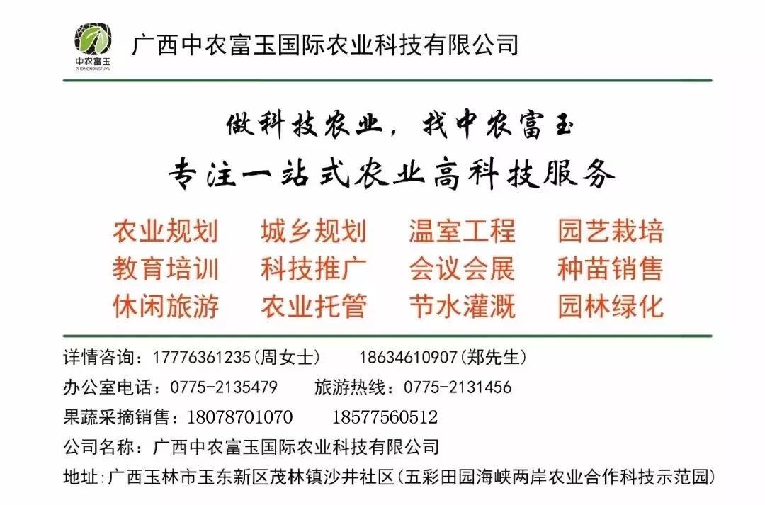 中农富玉大事记,中农富玉未来发展趋势