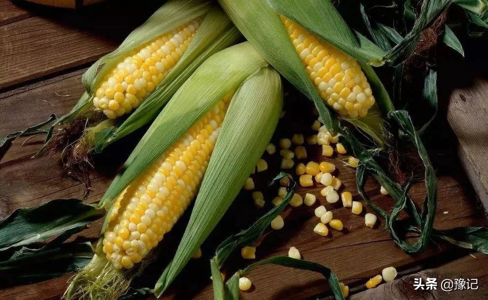 农村女人放下恩怨,乡村女人应该如何收拾男人