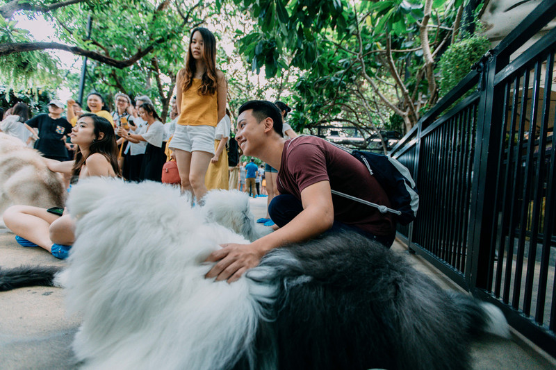 多次曼谷,整理了这份美食攻略,曼谷怎么吃,戳进来