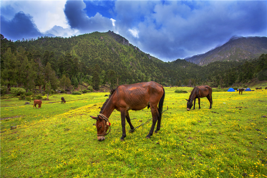宜宾川藏线,宜宾自驾俱乐部参团西藏游