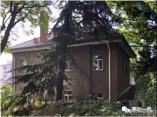 大连八七疗养院都谁住过,大连八七疗养院