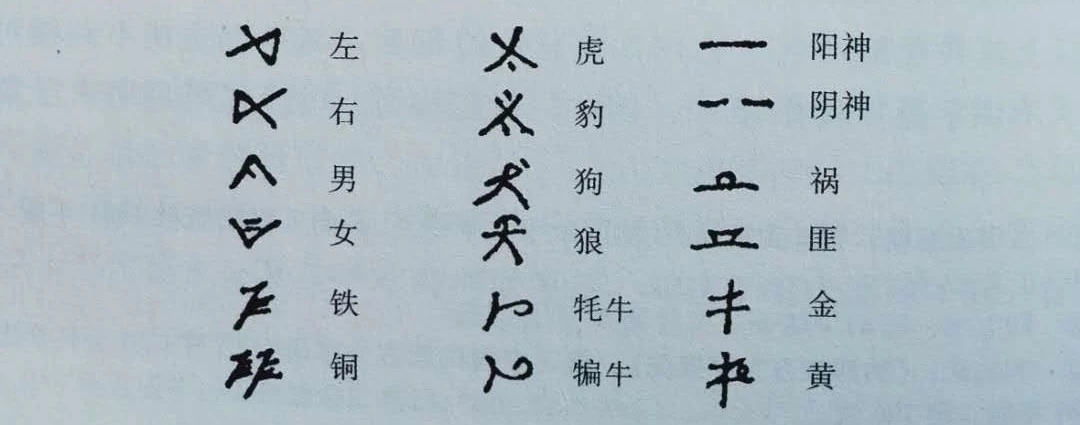 纳西族母系文化,纳西族文化有哪些