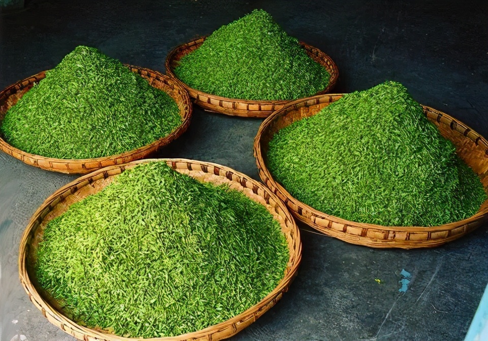 世界唯一的茶籽化石在贵州普安,茶籽化石被保存在哪个博物馆