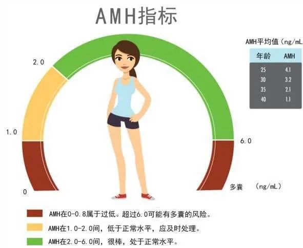 amh怎么在手机上查询结果,amh如何预测绝经年龄