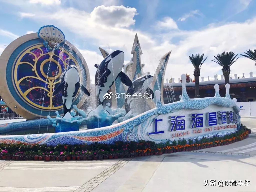 上海天安千树网红打卡点,上海打卡必去的地方排名