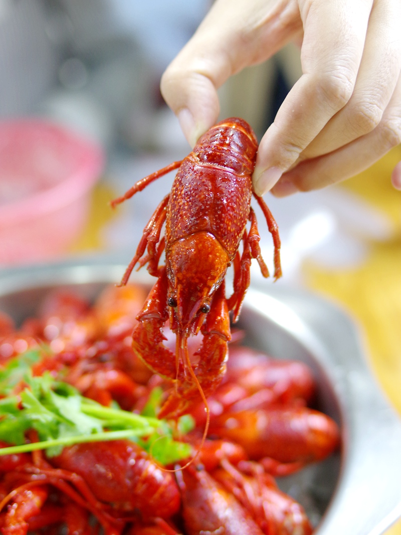 只卖三道菜的餐馆,只卖三道菜的苍蝇馆子