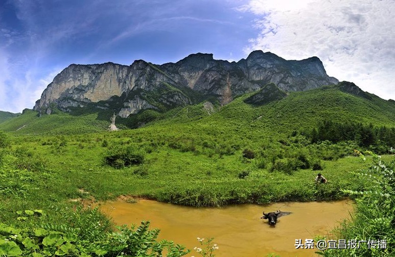 五峰凤凰山避暑胜地,五峰最佳避暑海拔是多少米