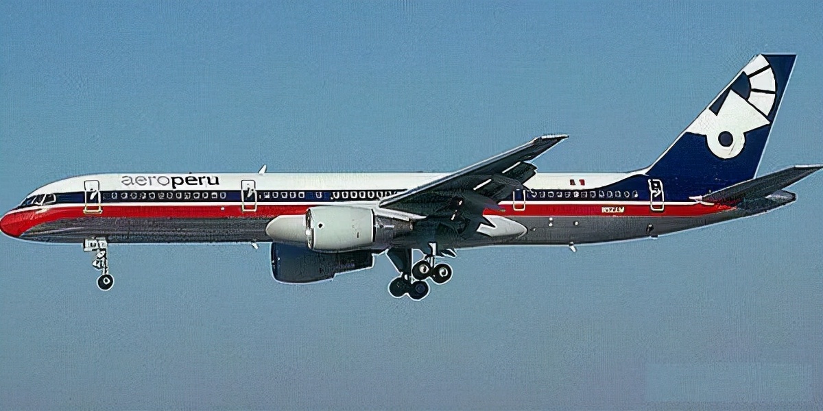 飞机在8000米高空解体，所有人直线下坠，却有人奇迹生还