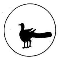 五一辑安游*句丽高**古墓壁画,一