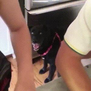 不联系的同学借钱怎么高情商回复,怎么回复借钱的同学