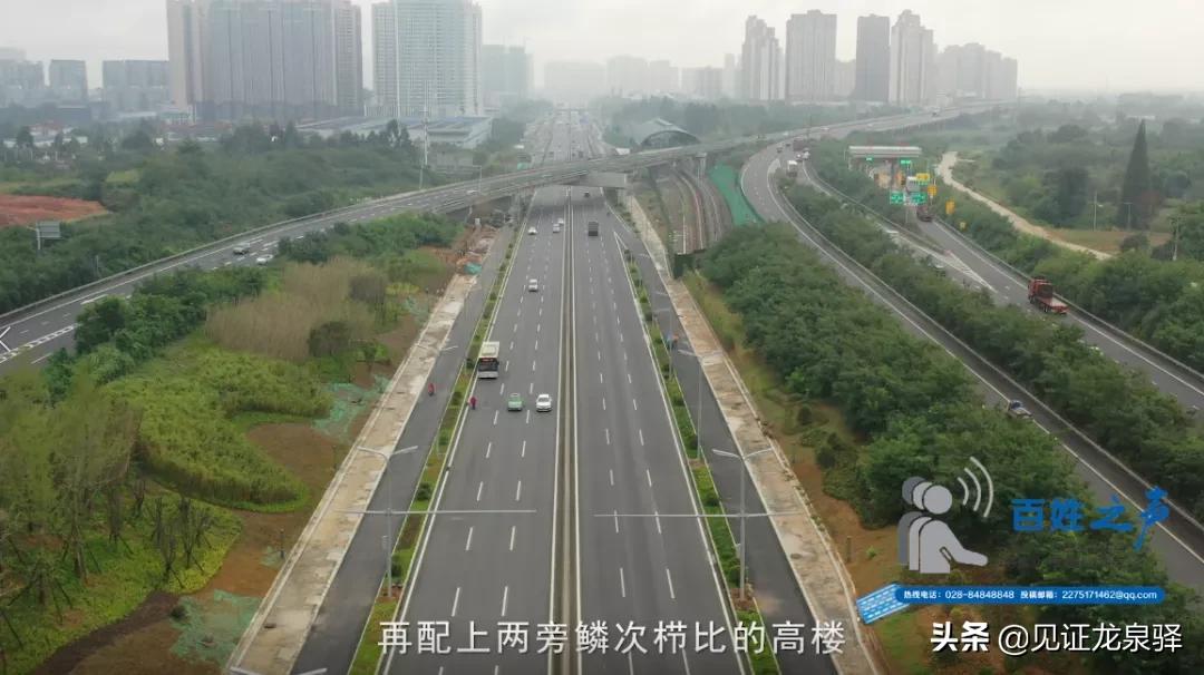 让成洛大道“跑”起来!我们想听你来“吐槽”