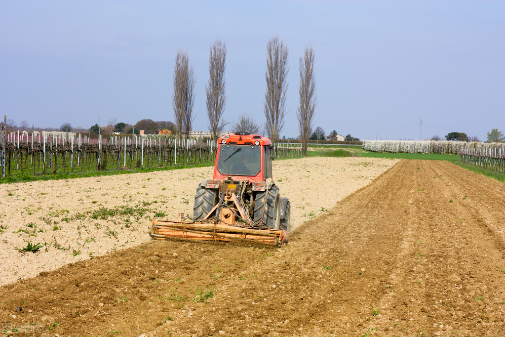 私卖耕地建房怎么处理,农村人私自买卖土地建房怎么处理