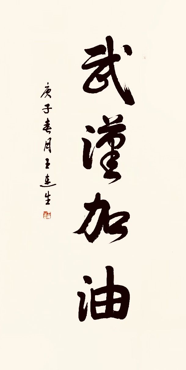 37位名家长江书法展,书法楷书武汉加油中国加油