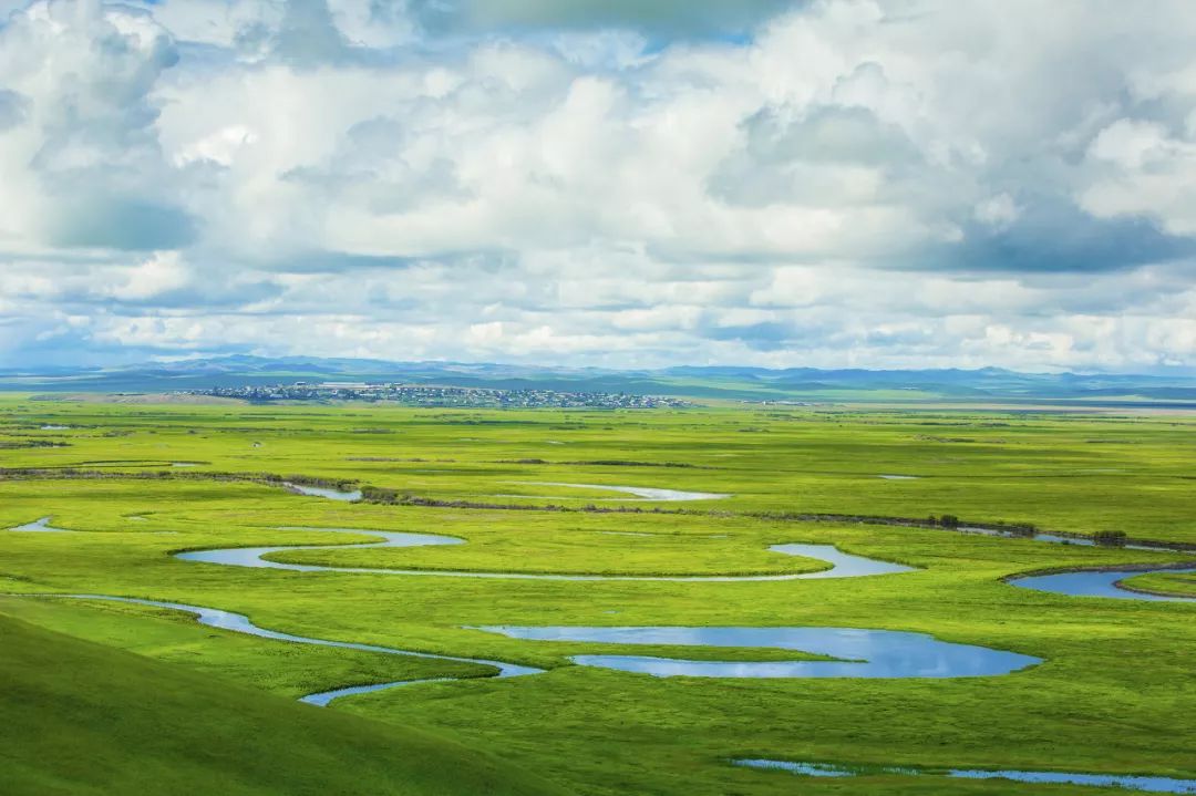 呼伦贝尔感受大自然的美好,呼伦贝尔终生难忘的草原