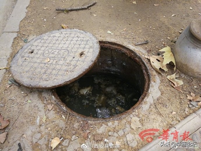 陕西酒驾被抓怎么处罚,陕西多次酒驾被抓