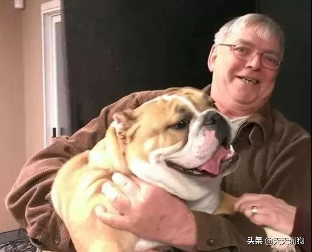 被绝育的狗子,公狗做绝育自闭