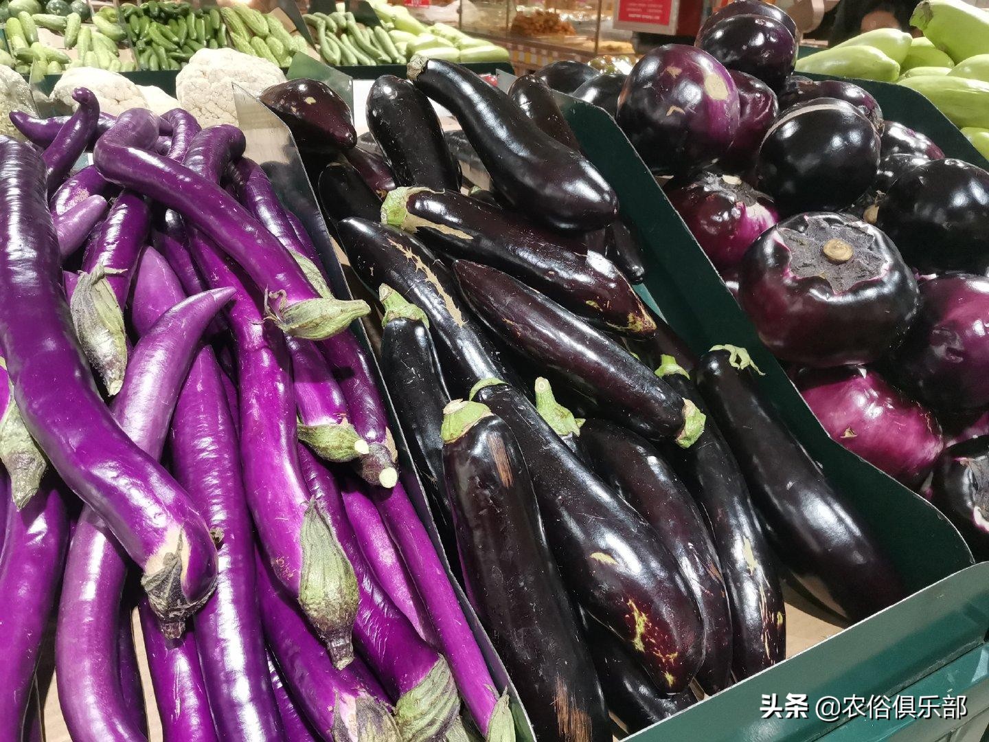 吊死鬼茄子,茄子鬼是真的吗