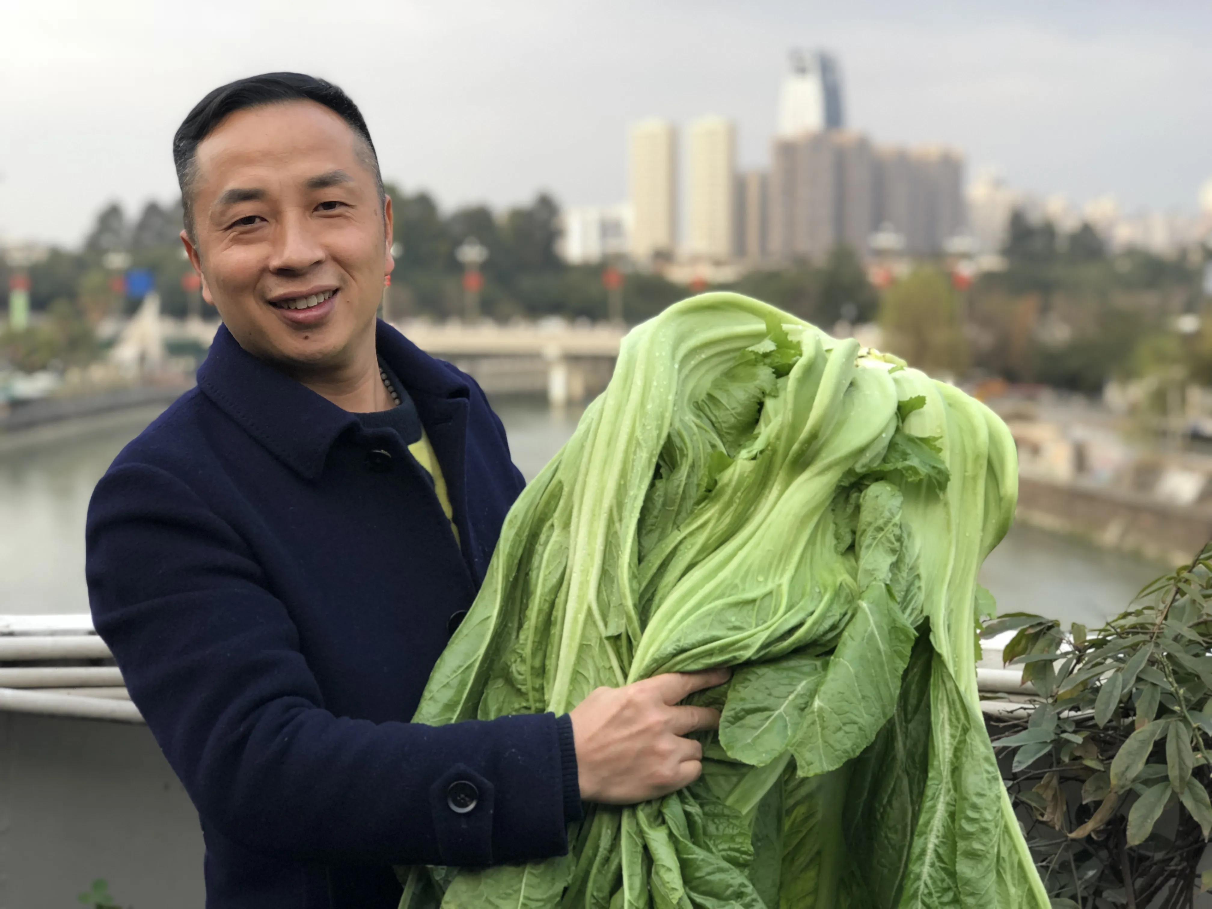 萝卜泡酸菜怎么制作,卷心菜泡酸菜的制作方法