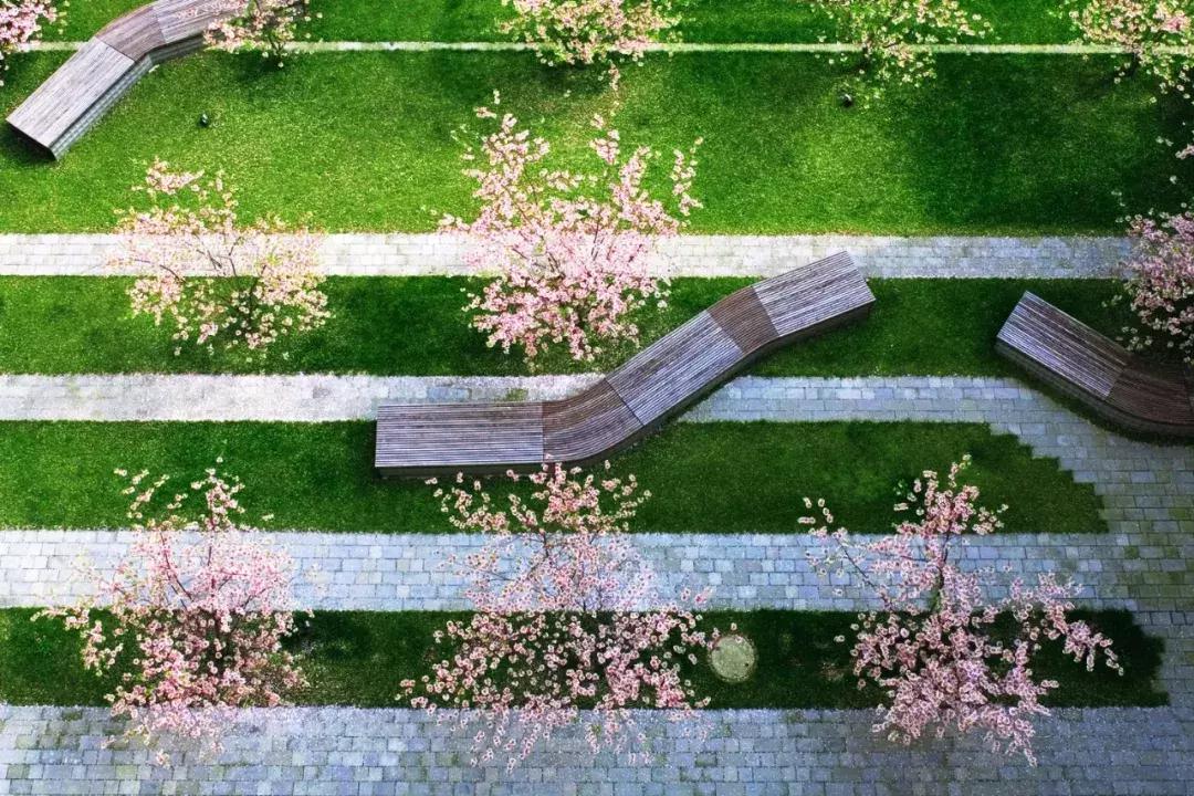 有设计感的线条图,极简设计之路