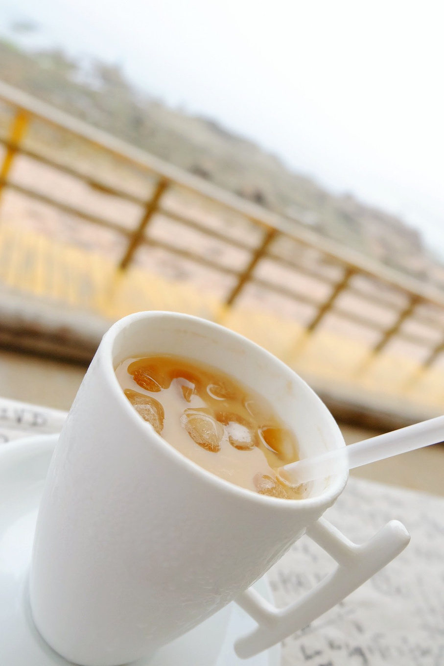 骆驼青岛,骆驼旅行在路上