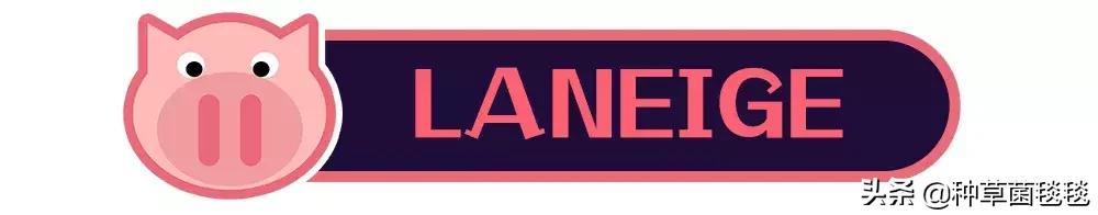 25块买啥,25块买什么东西