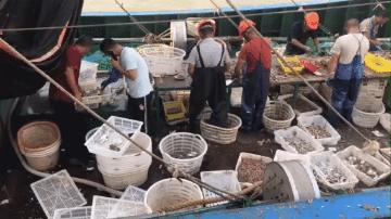 一年一度的开渔季,开渔季味蕾狂欢之旅