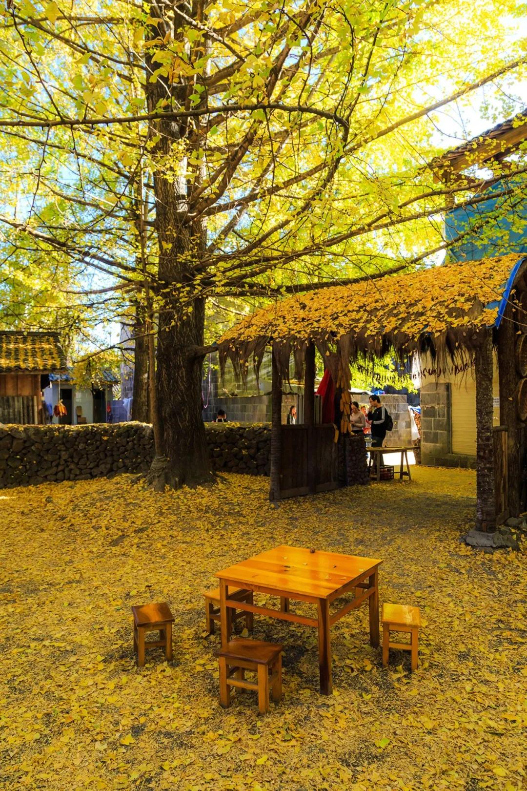 腾冲县地图在云南的哪个位置,腾冲边境地图