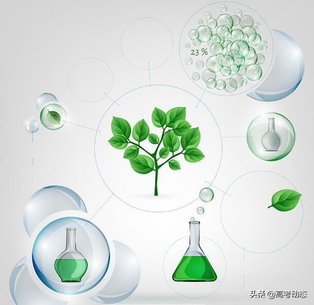 如何提高高考化学成绩,记住这五点让你掉秤飞快
