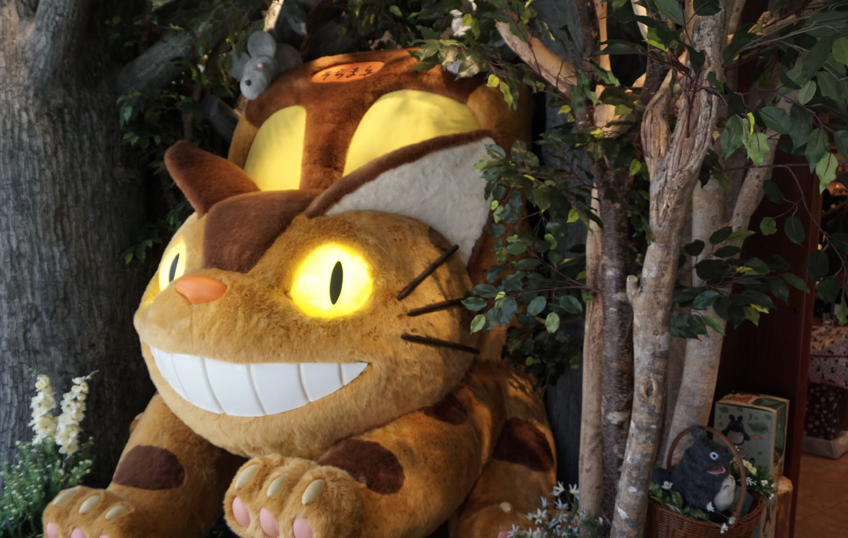 日本京都大阪自由行攻略,日本东京旅游攻略银座