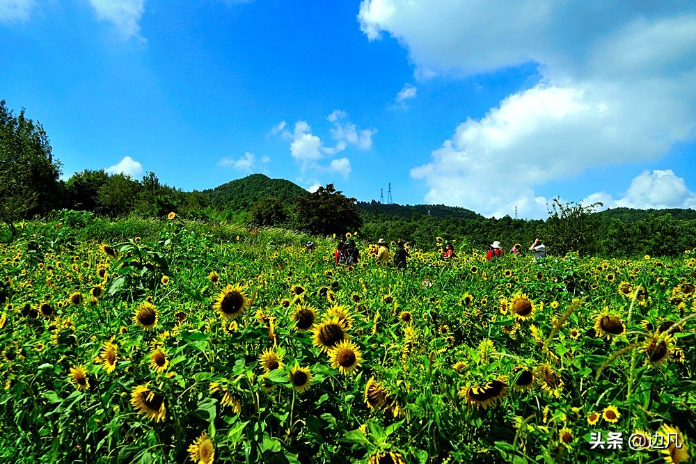 航拍一个村寨,航拍最美山谷风景