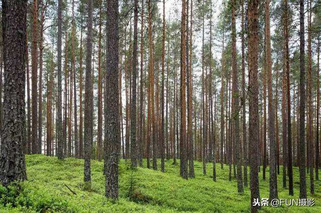 摄影技巧入门第十六课,摄影构图基础知识入门教程视频