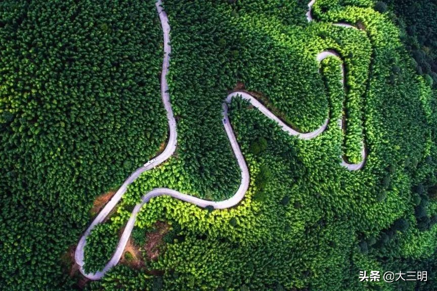 中国绿都最氧三明春回大地,大武夷旅游绿都三明