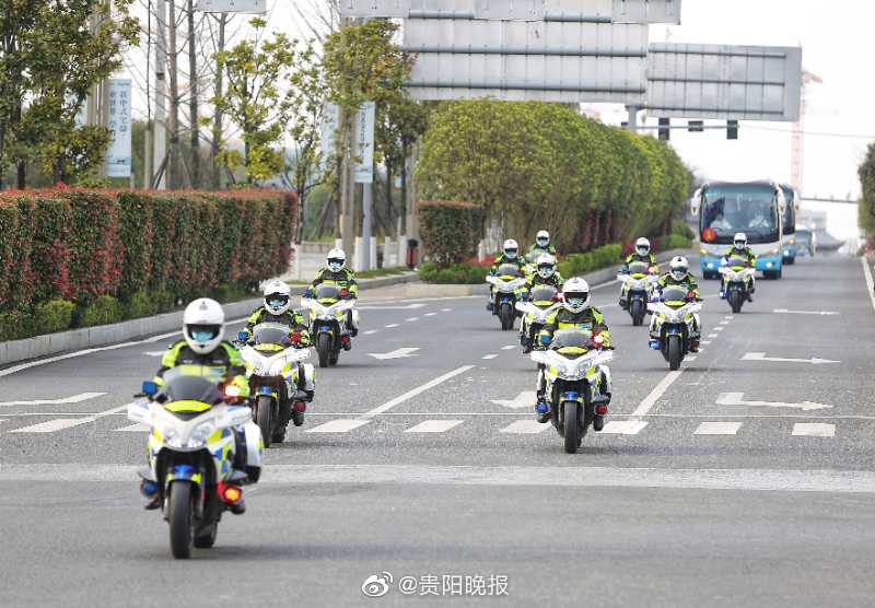 贵安新区自发组织欢迎队“迎”天使回家