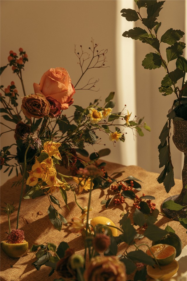 仙气森系梦幻清新写真,写真森系小清新风格照片