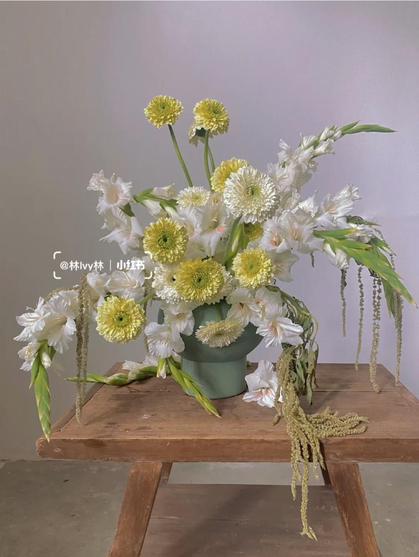 家里要有氛围感什么花比较好,家里高级的花