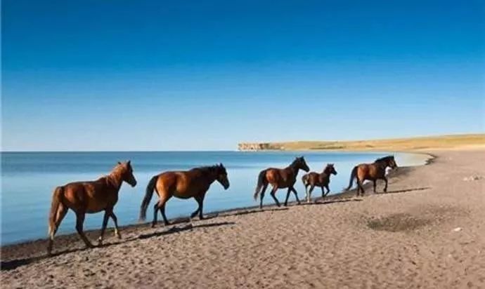呼伦贝尔不为人知的景点,呼伦贝尔地区道路风景